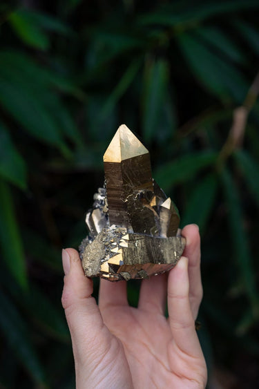 Golden Aura Cluster